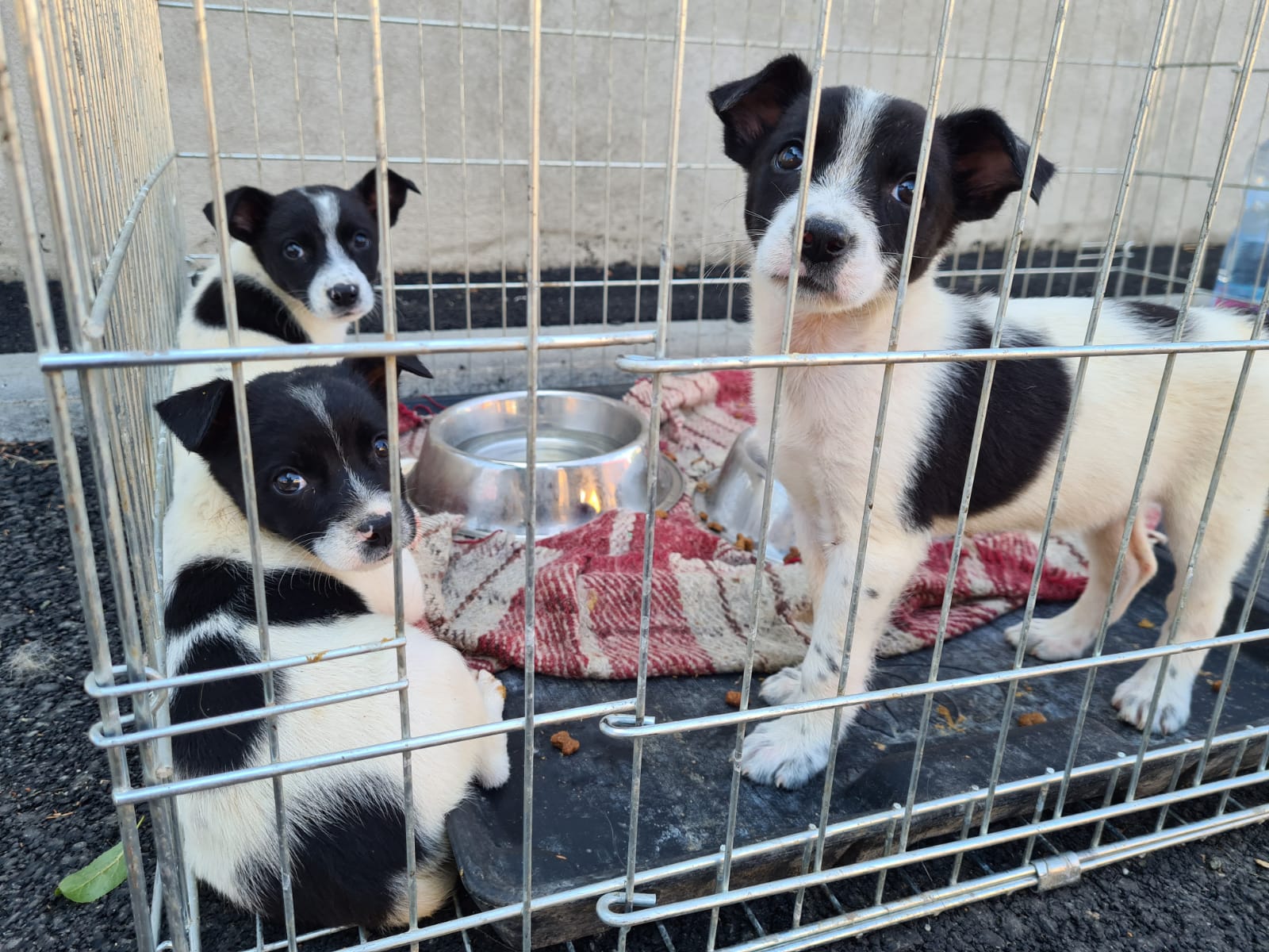 WhatsApp Image 2021-07-25 at 16.14.15