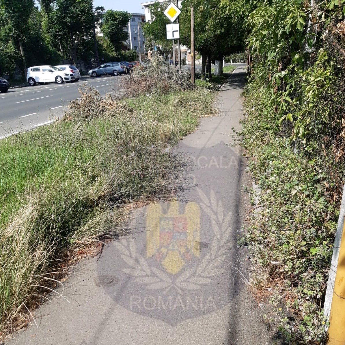 Privații amendați, publicii uitați!