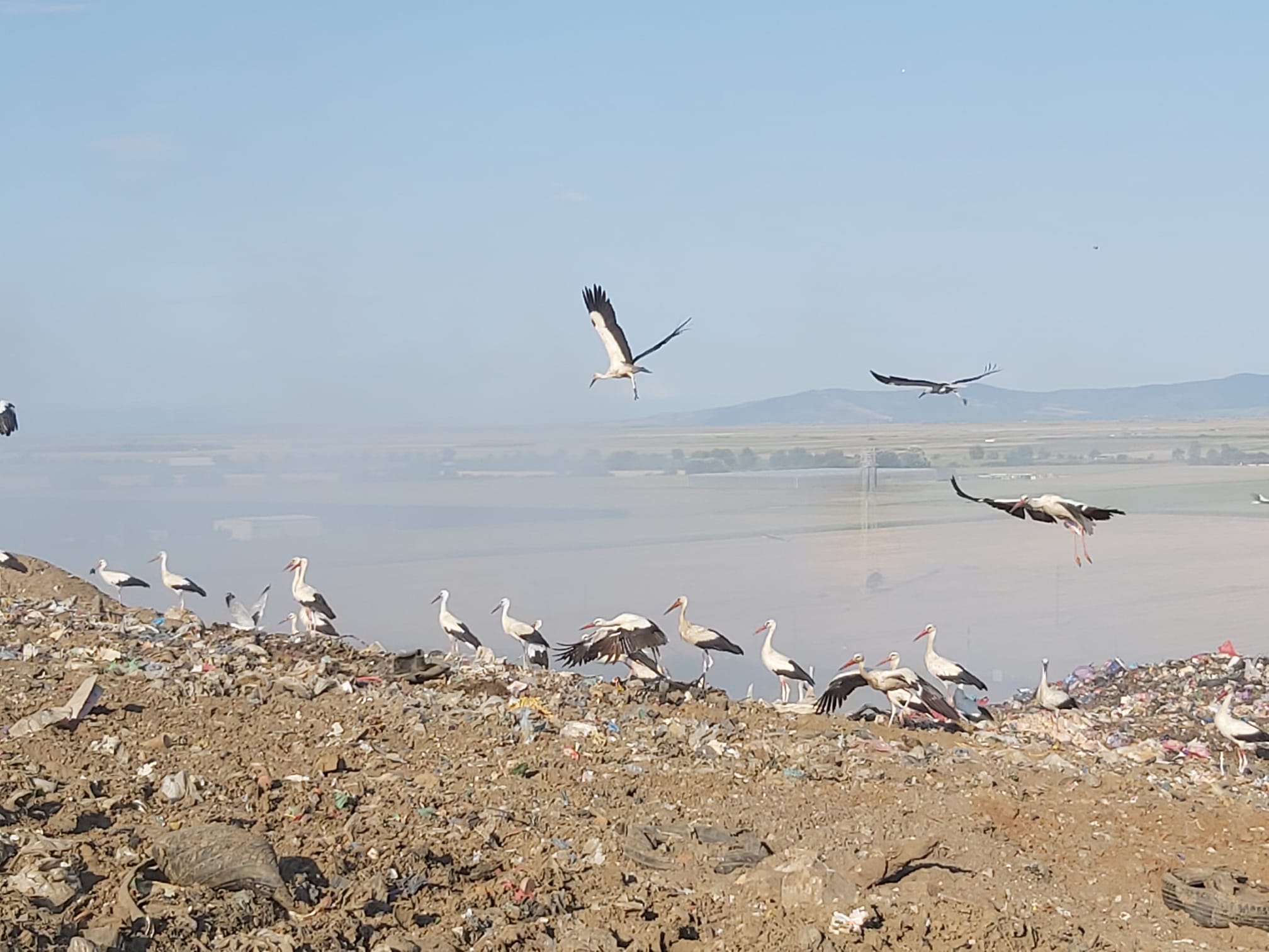 60c61591-a222-4fbb-8dd2-9ee2c3c52903