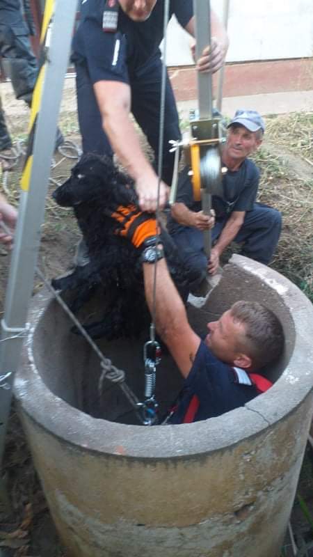 8ee8fd18-d114-467b-8a5e-02ebe7e477d7