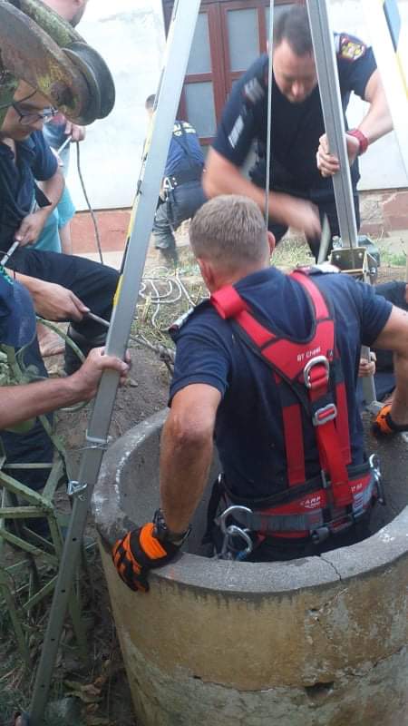 d20b64e2-cdae-4133-a9ca-a5d5ccd7c132