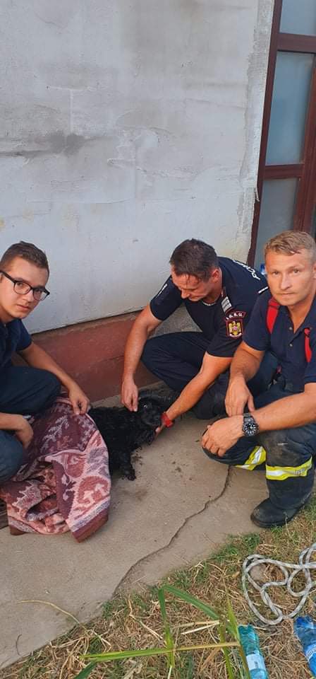 327cffcd-3517-49d7-b9fb-74ba98d29073