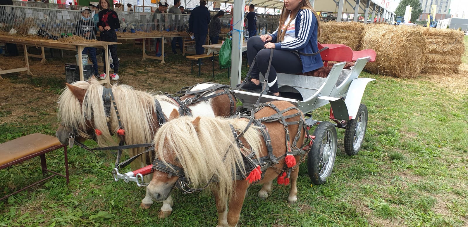 WhatsApp Image 2021-09-02 at 12.51.25