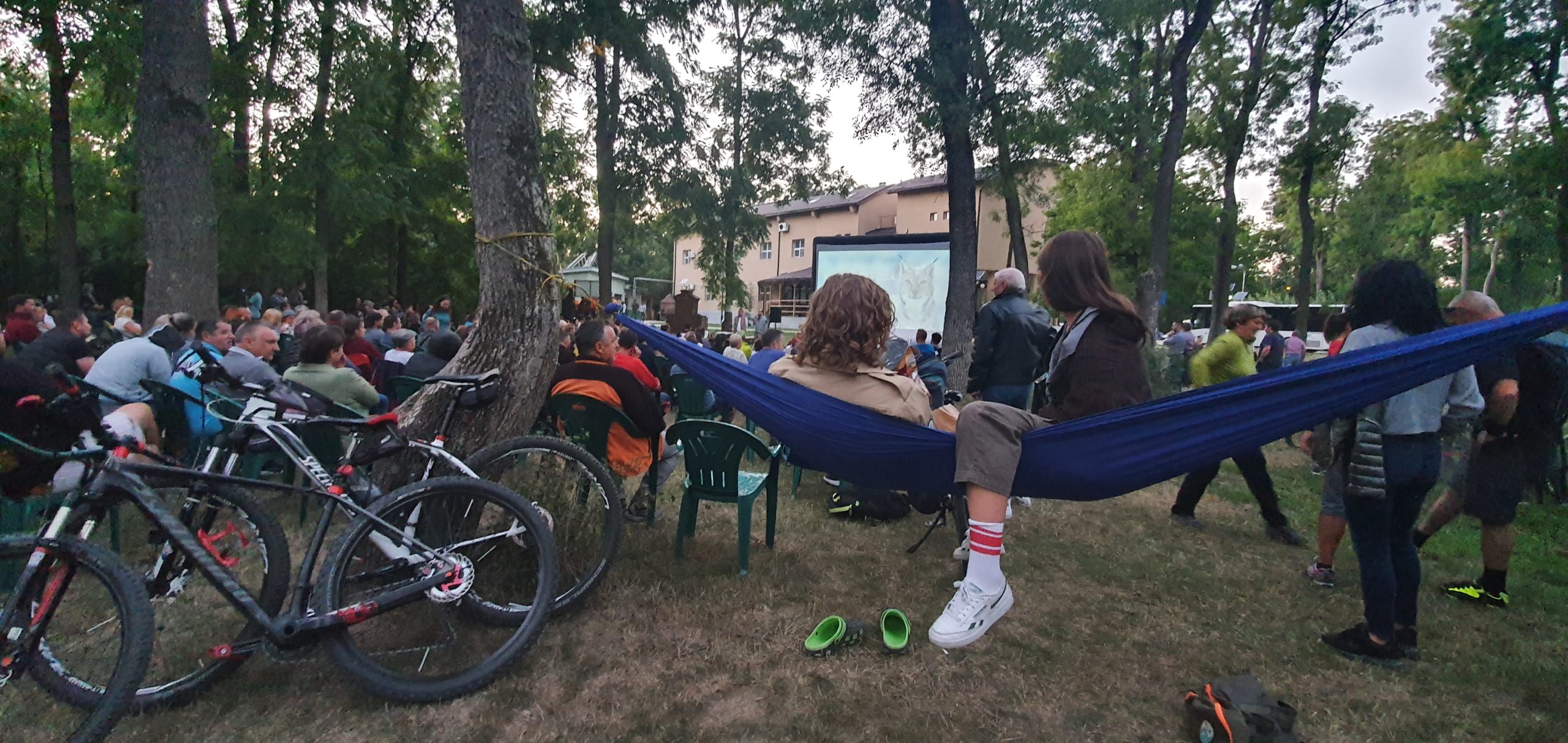 romania salbatica bun