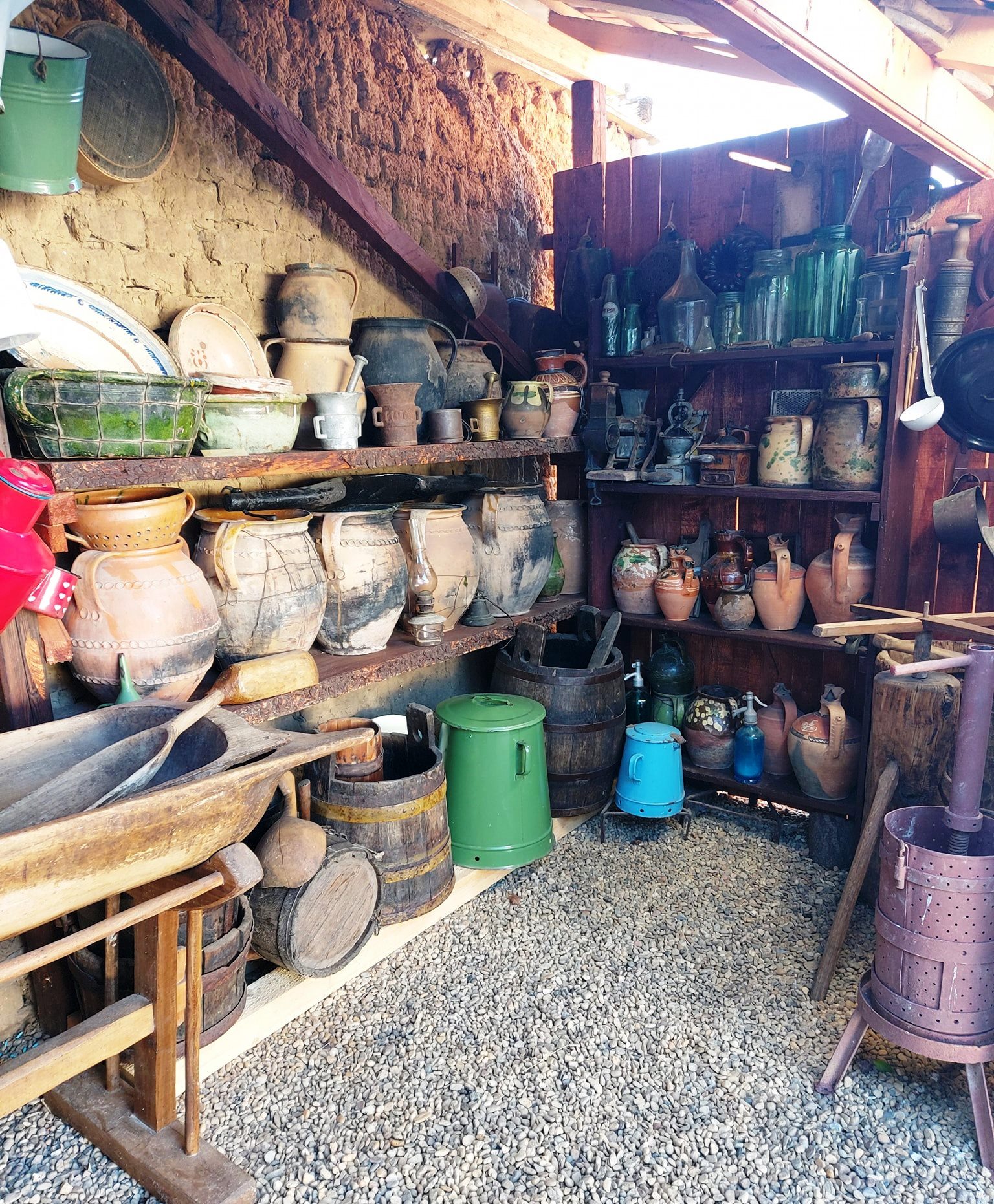 129340660_2022229524602324_4973722075285874279_n