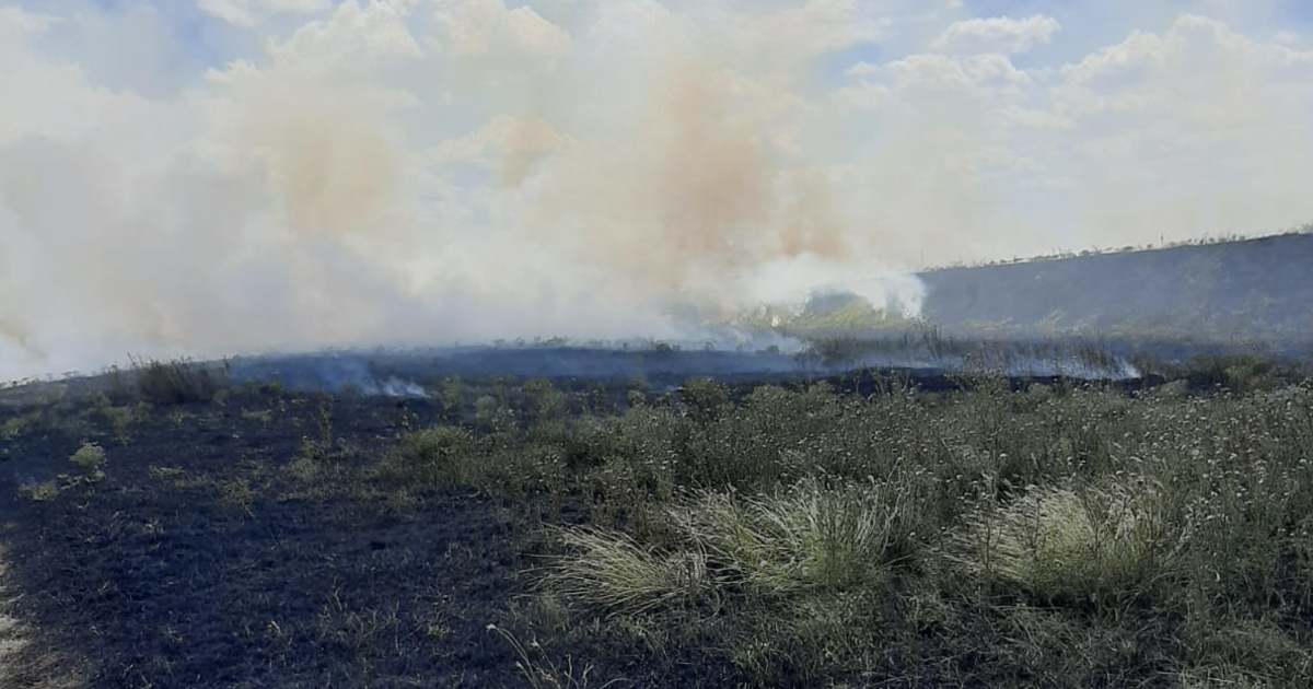 Incendiu de vegetație în municipiu, în apropierea unei stații GPL