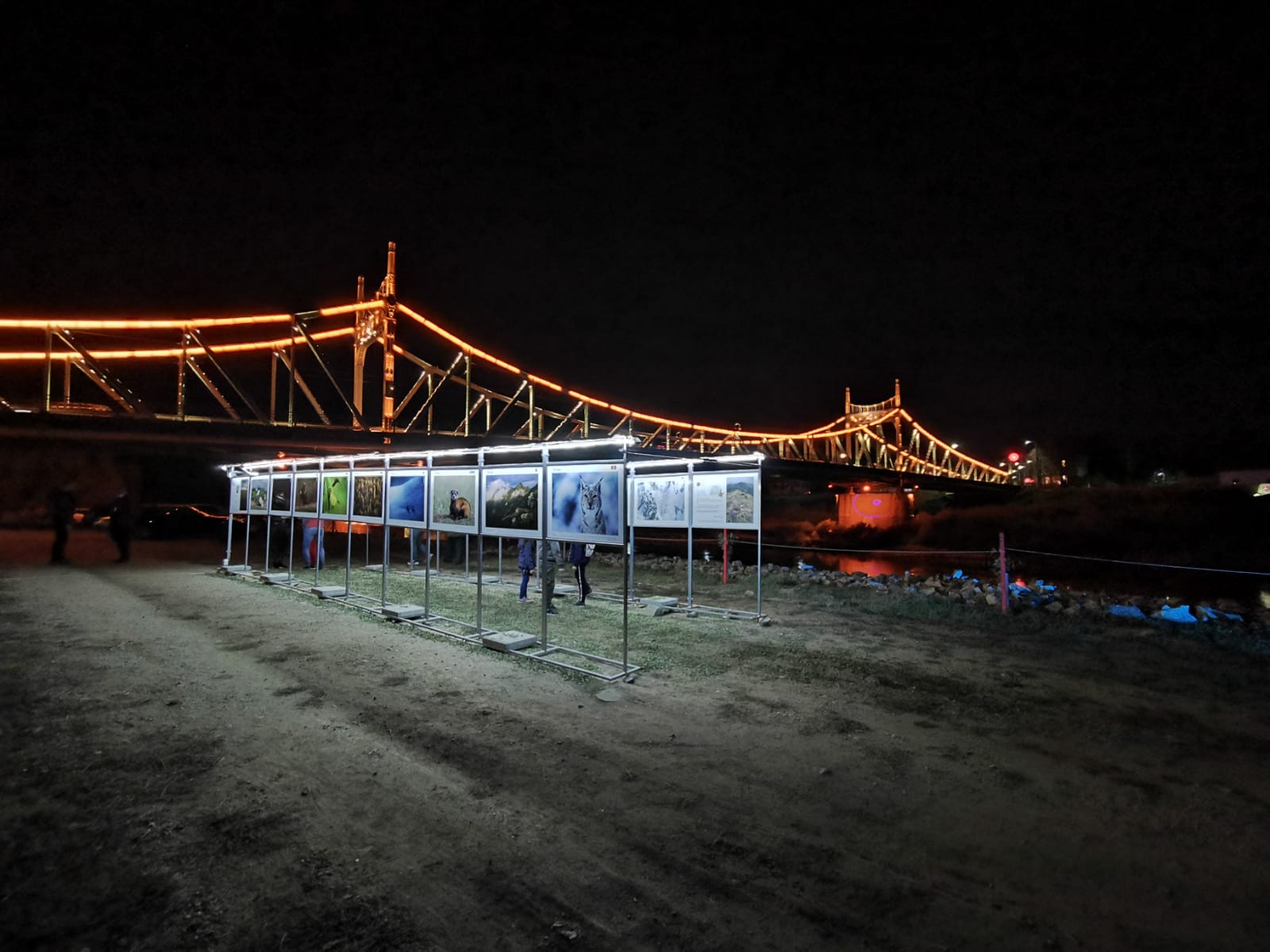 WhatsApp Image 2021-10-09 at 09.48.55 (4)