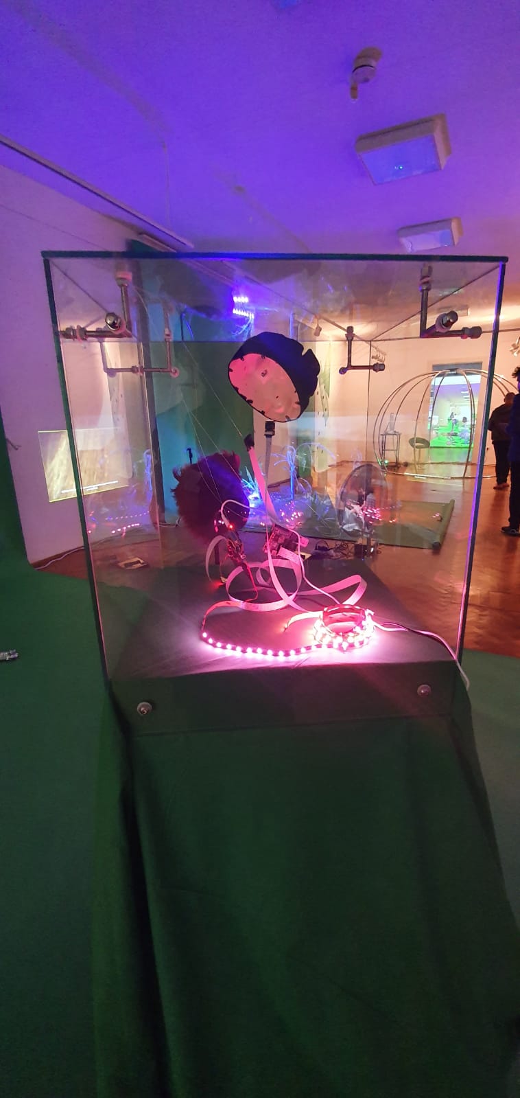 WhatsApp Image 2021-10-17 at 10.29.18 (2)