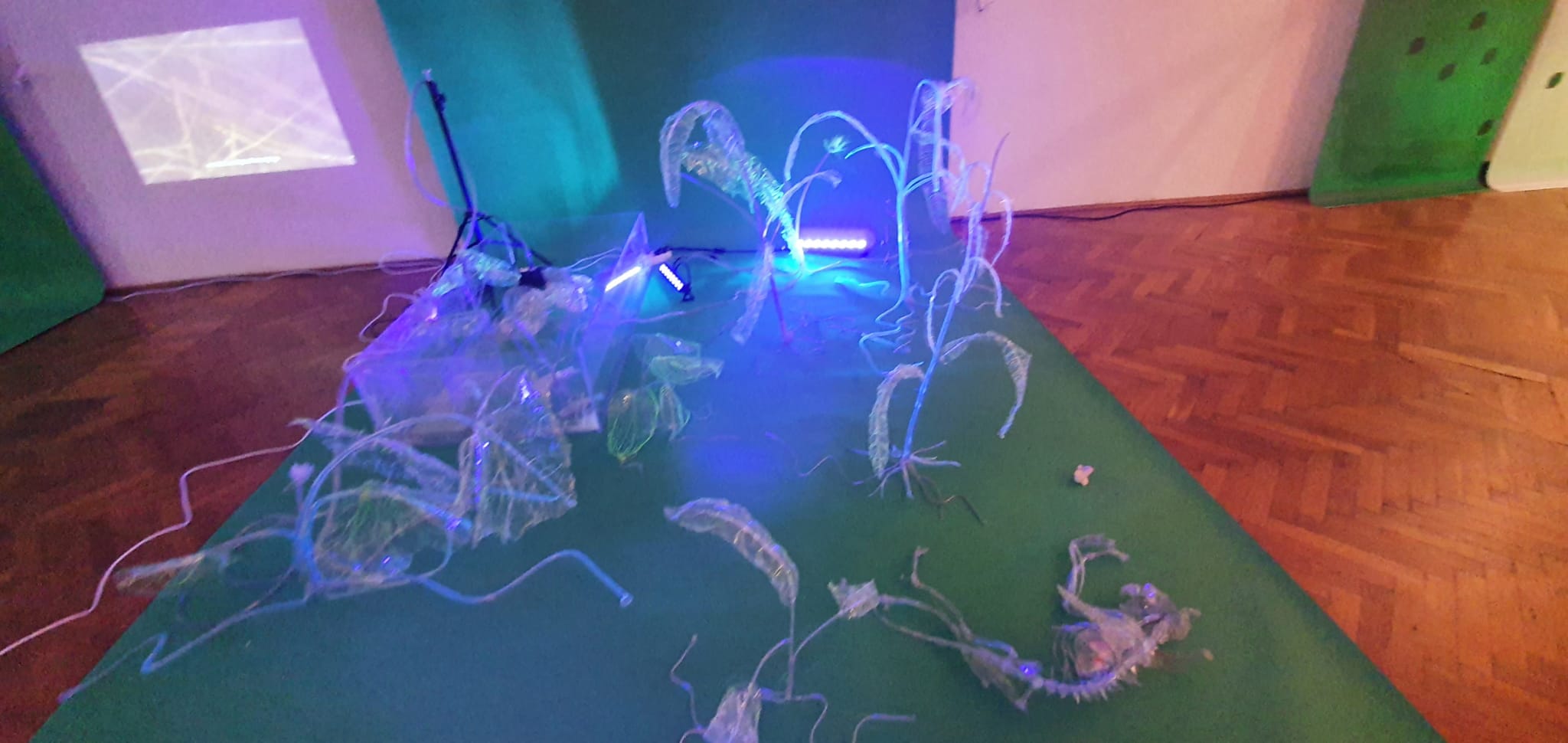 WhatsApp Image 2021-10-17 at 10.29.23