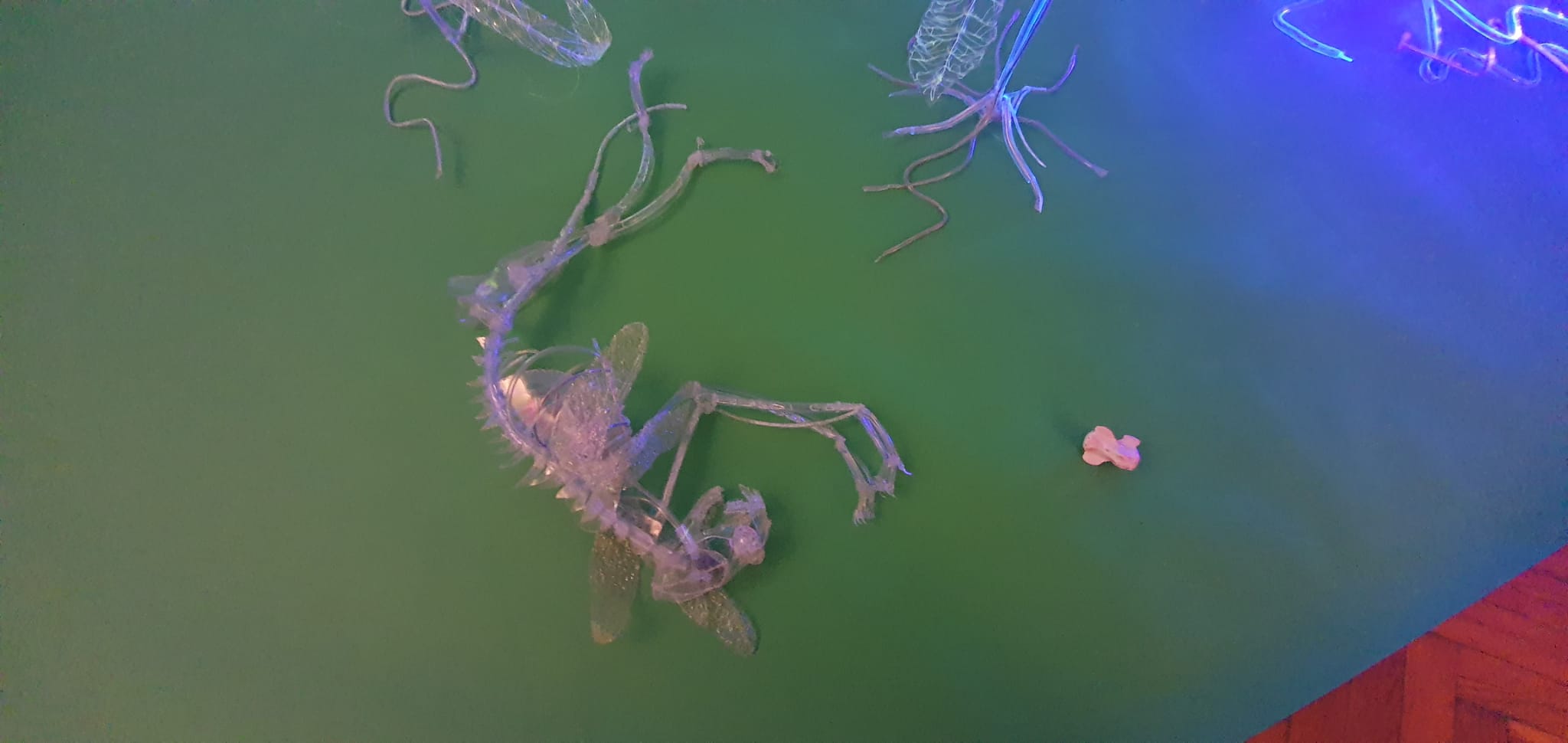 WhatsApp Image 2021-10-17 at 10.29.27