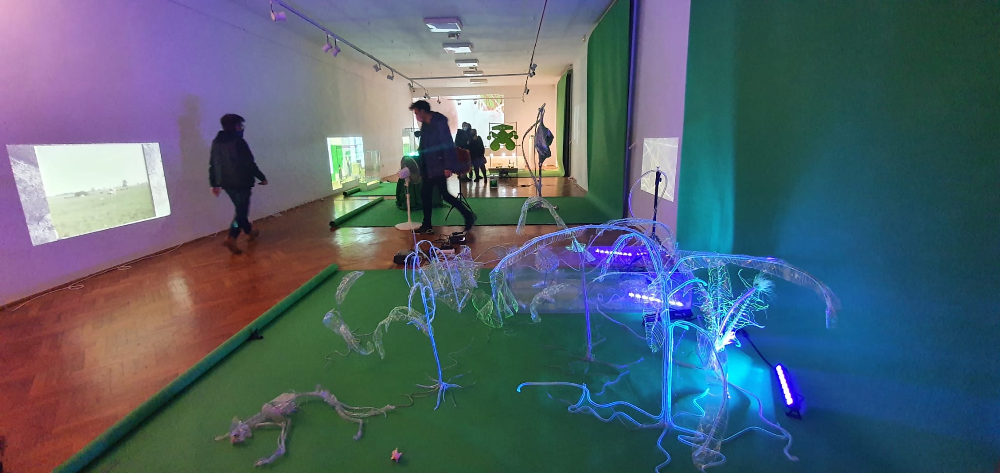 WhatsApp Image 2021-10-17 at 10.29.46