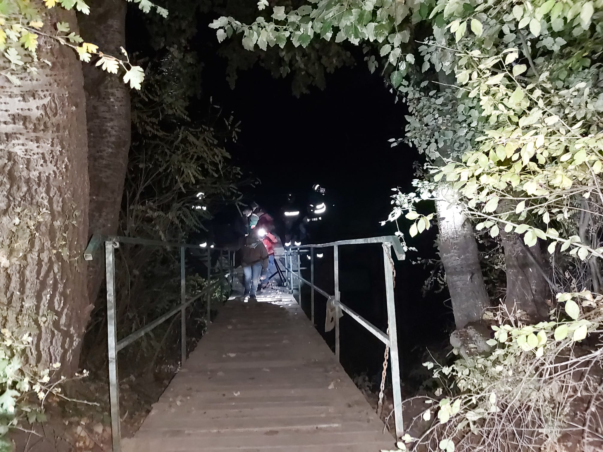 48ca8a86-fe0a-4f88-9504-cb87cc639e7f