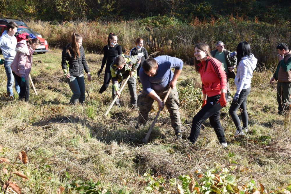 Au plantat puieţi în pădure