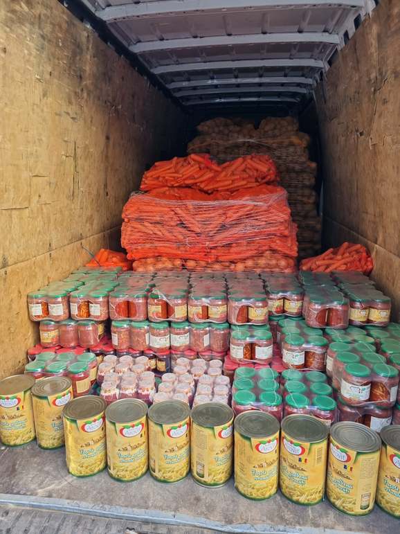 1636393dastmipsioan8