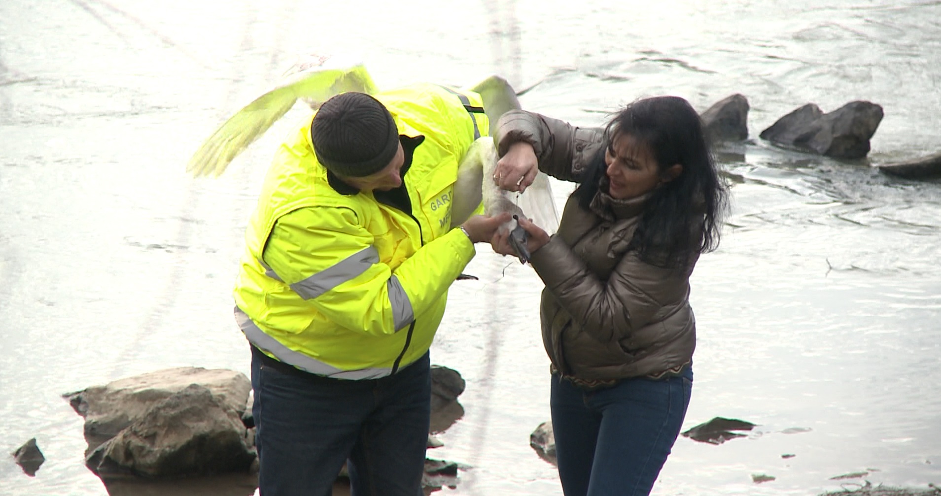 Captură ecran (1188)