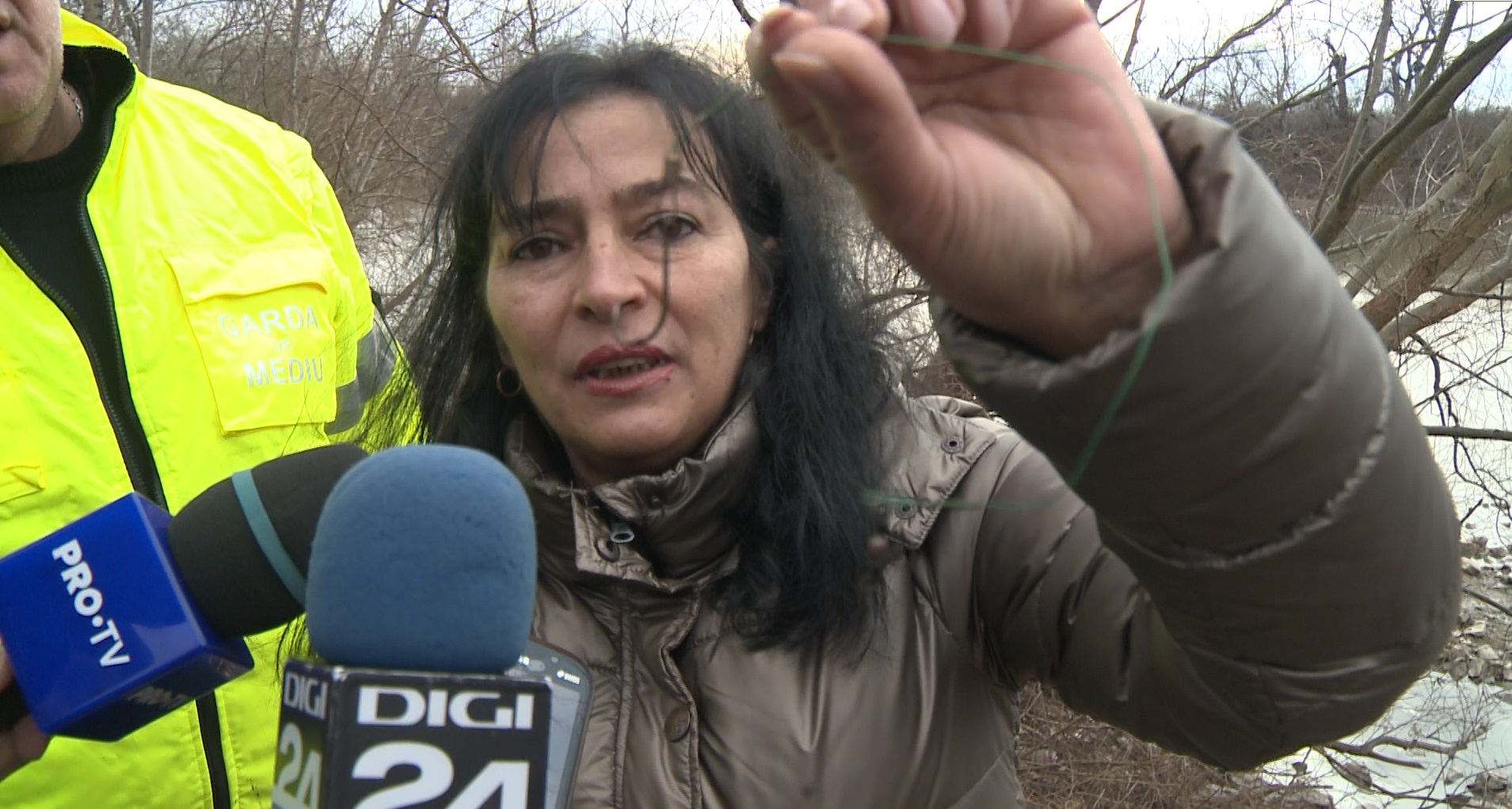 Captură ecran (1193)