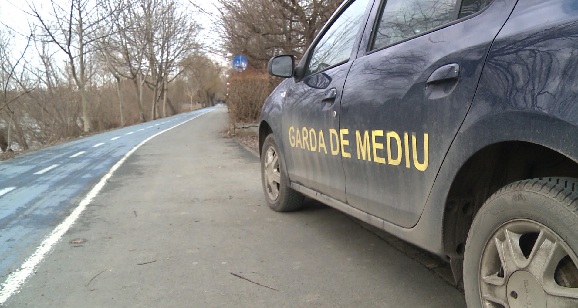 Captură ecran (1194)