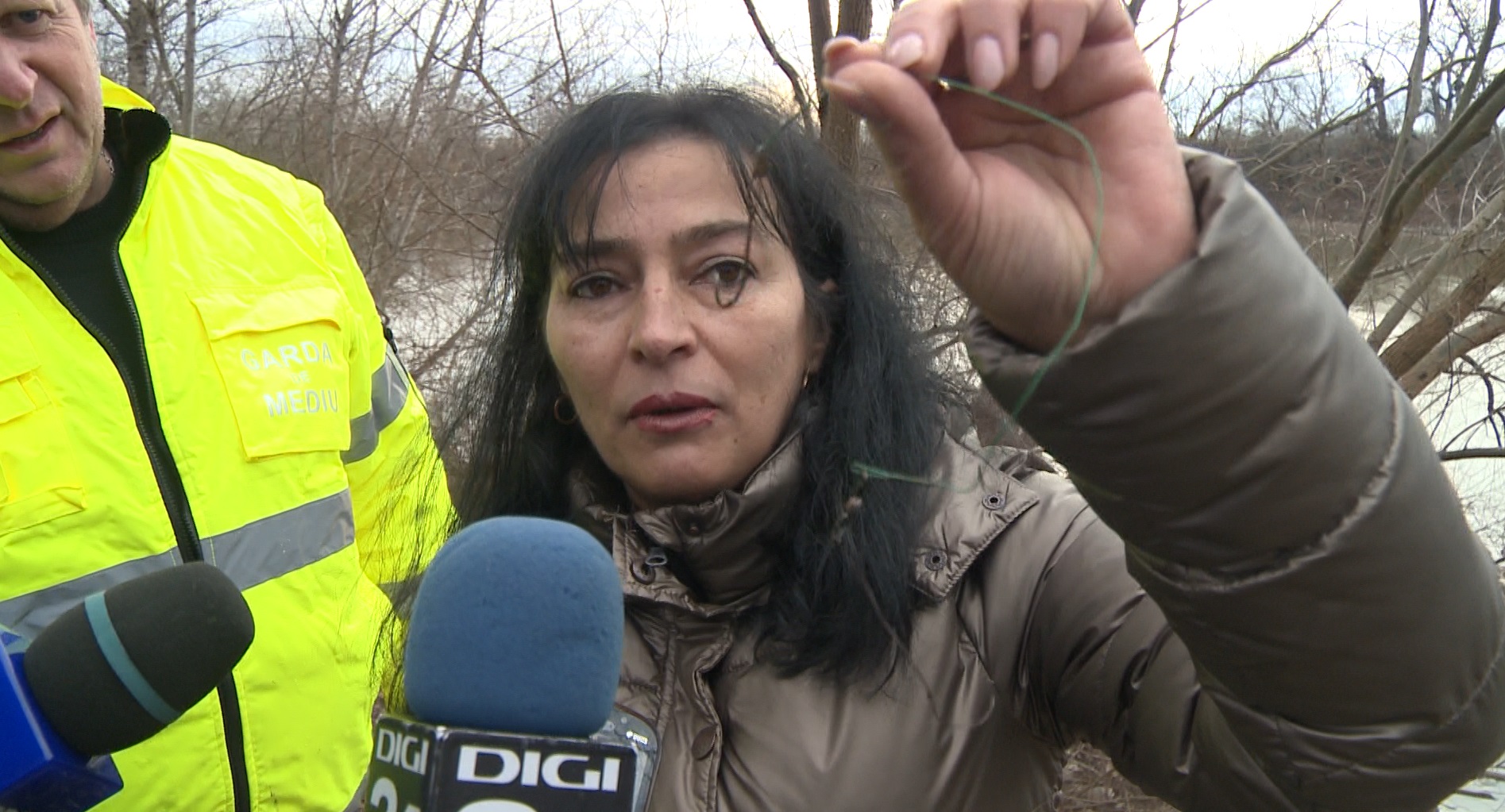 Captură ecran (1191)