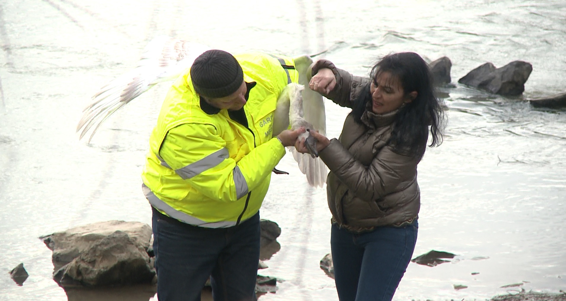 Captură ecran (1189)