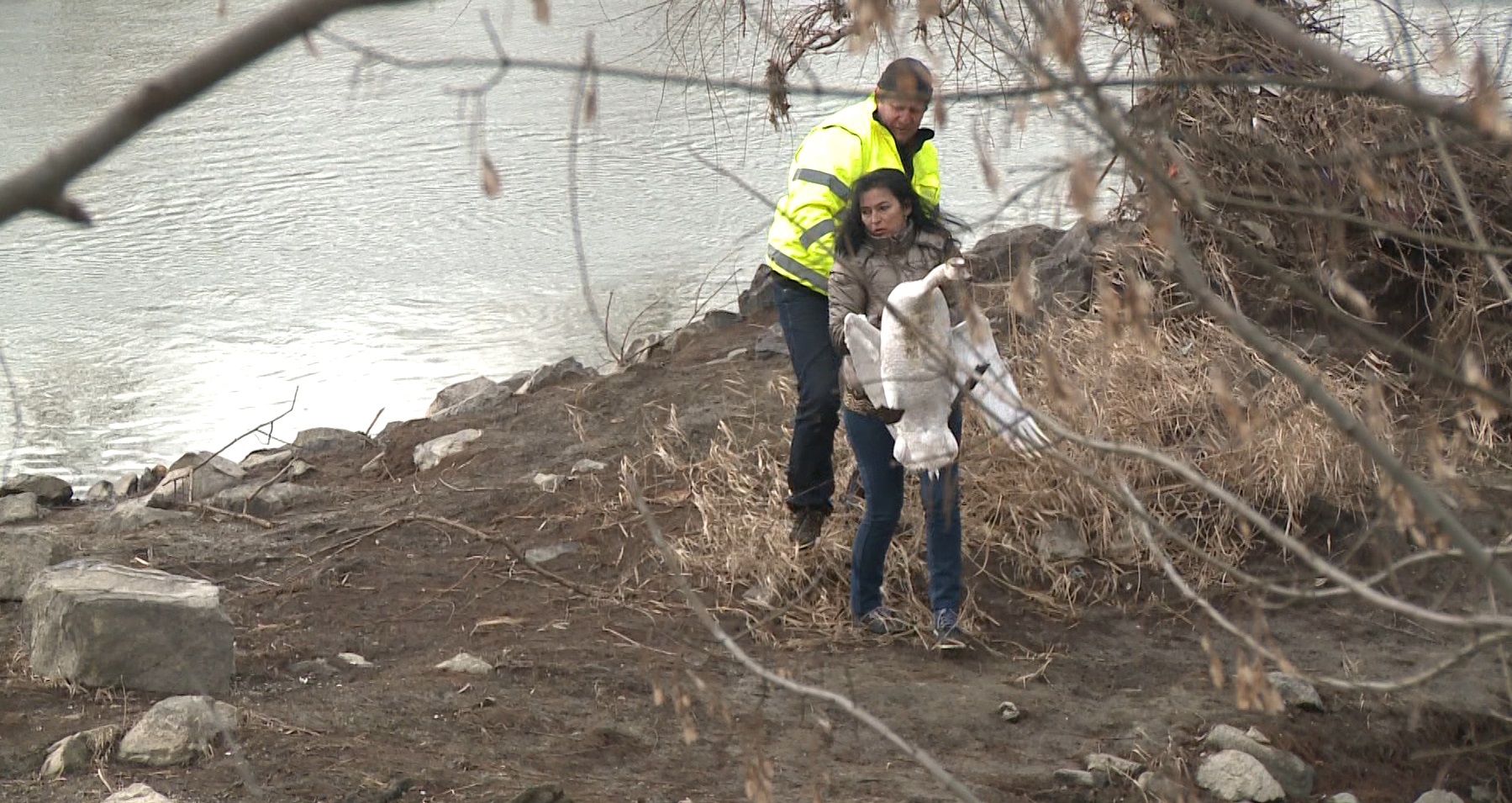 Captură ecran (1182)