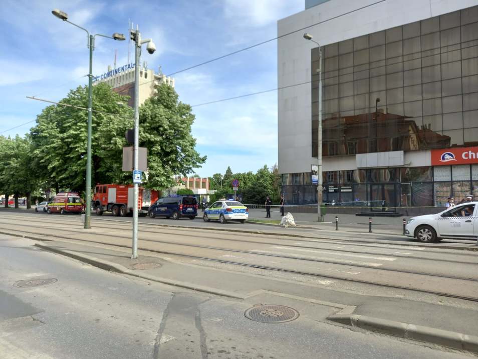 3319348WhatsAppImage20220523at54638PM