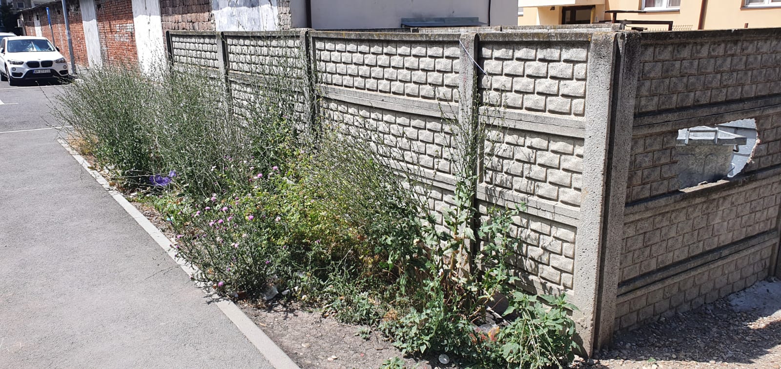 WhatsApp Image 2022-06-22 at 12.24.40 PM