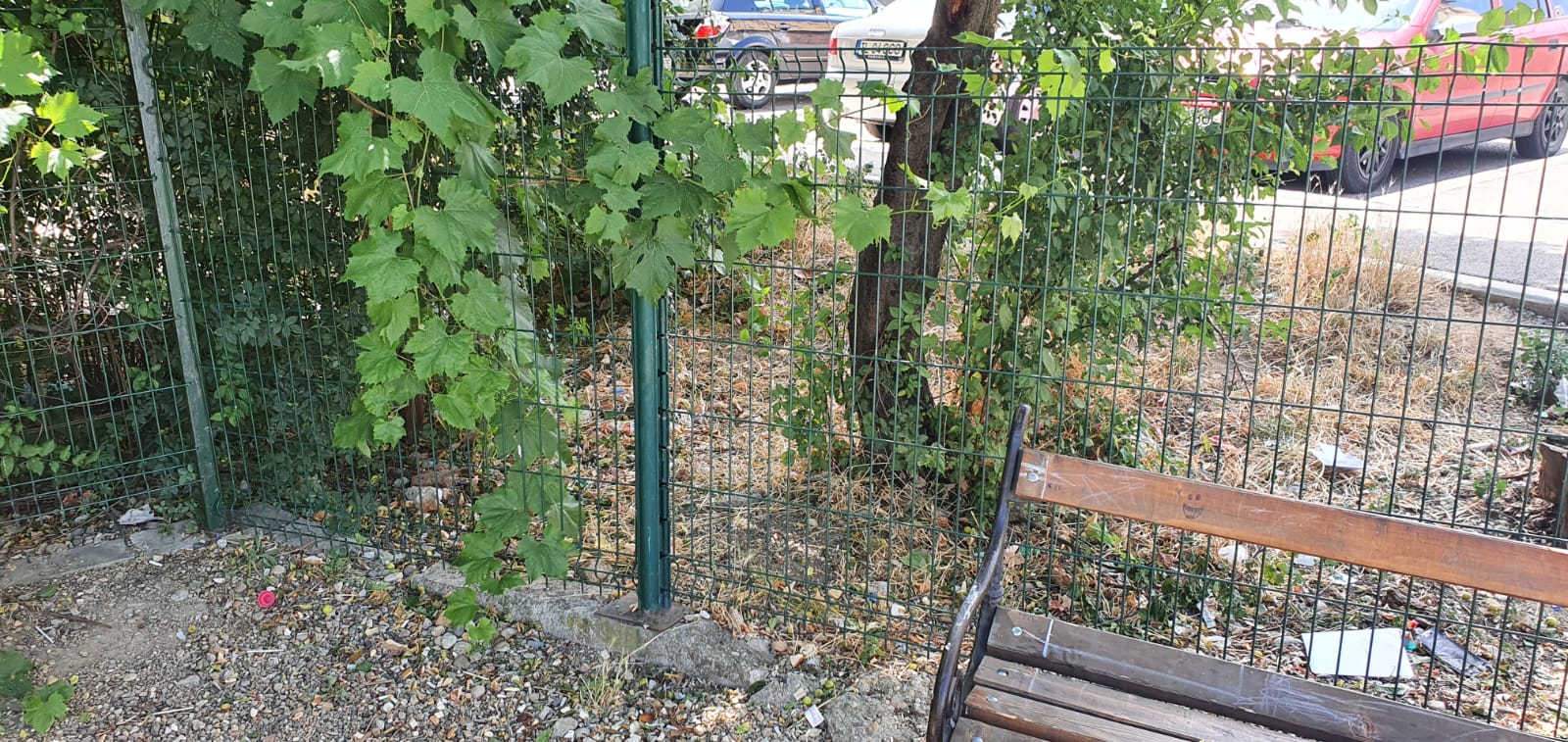 WhatsApp Image 2022-06-22 at 12.24.41 PM (1)