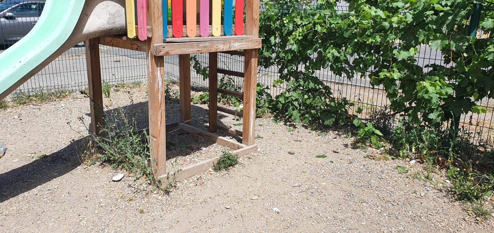 WhatsApp Image 2022-06-22 at 12.24.42 PM