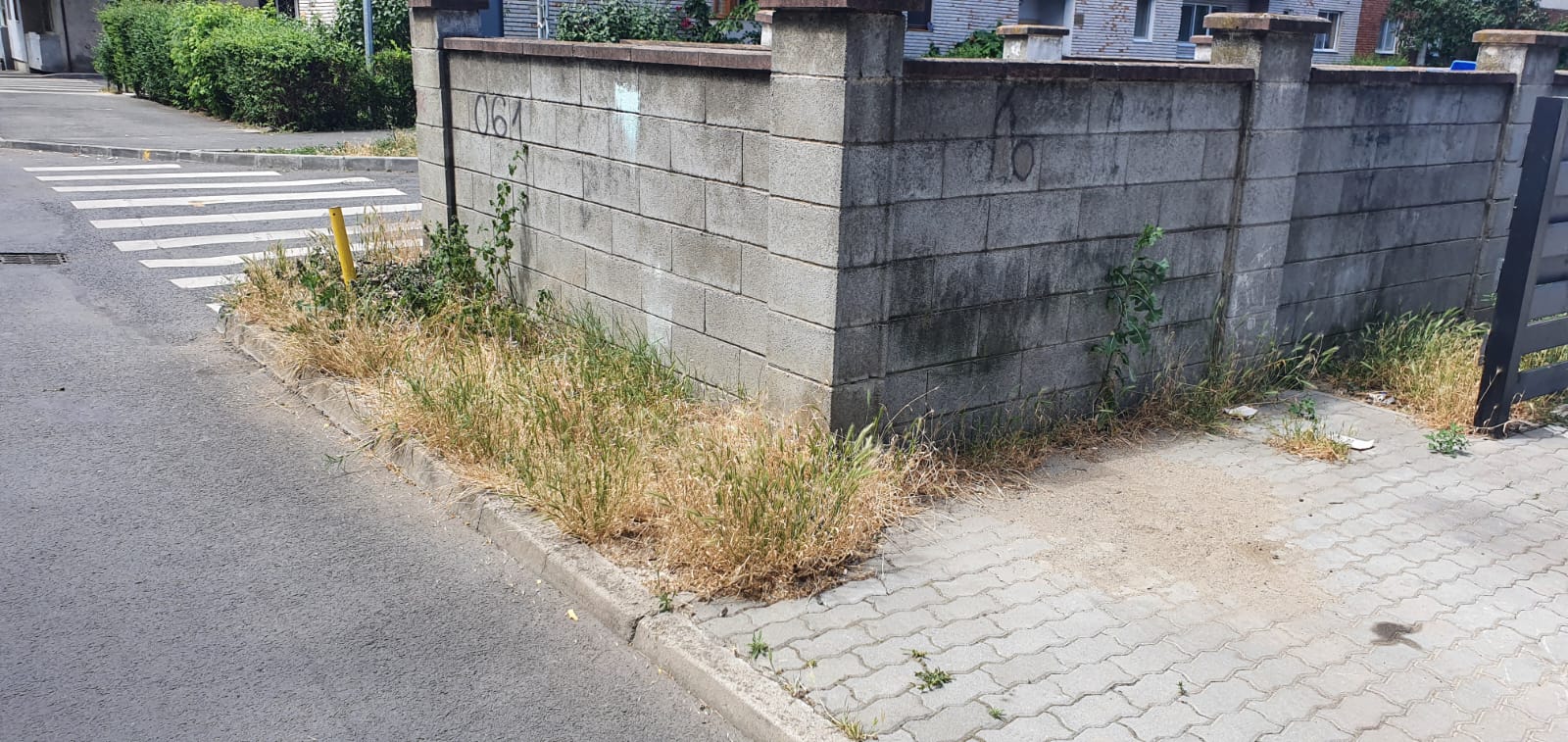 WhatsApp Image 2022-06-22 at 12.25.20 PM (1)