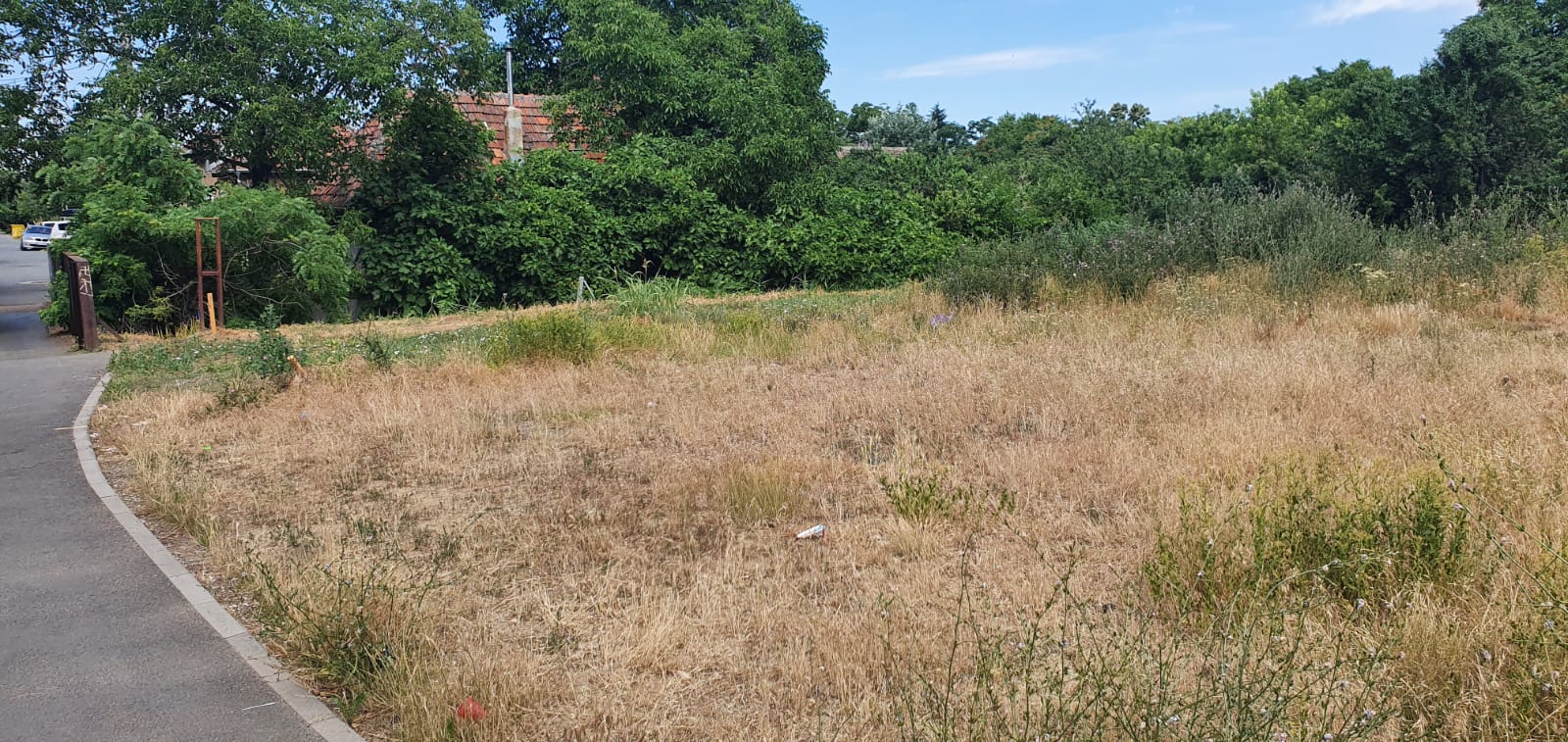 WhatsApp Image 2022-06-22 at 12.25.20 PM (2)