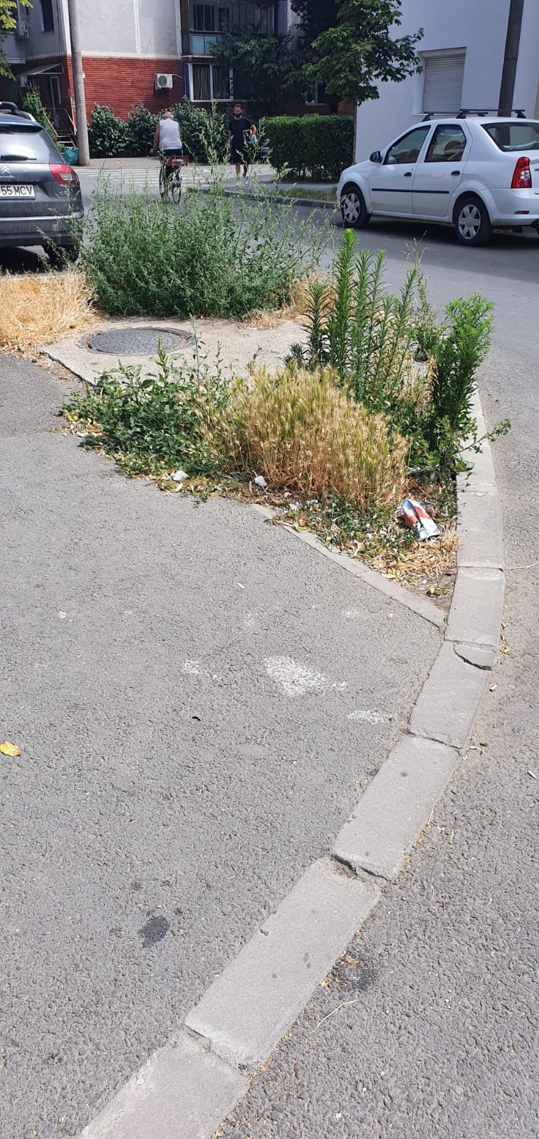 WhatsApp Image 2022-06-22 at 12.25.20 PM