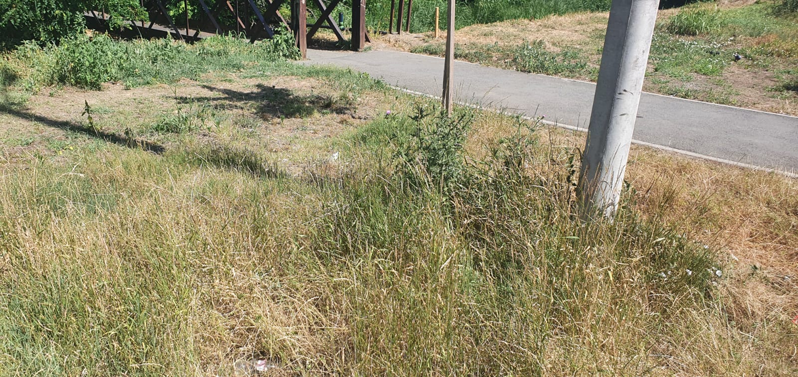 WhatsApp Image 2022-06-22 at 12.25.21 PM (1)