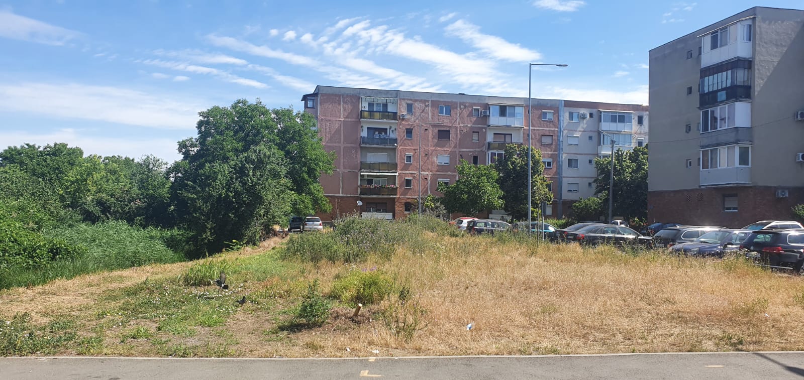 WhatsApp Image 2022-06-22 at 12.25.21 PM (2)