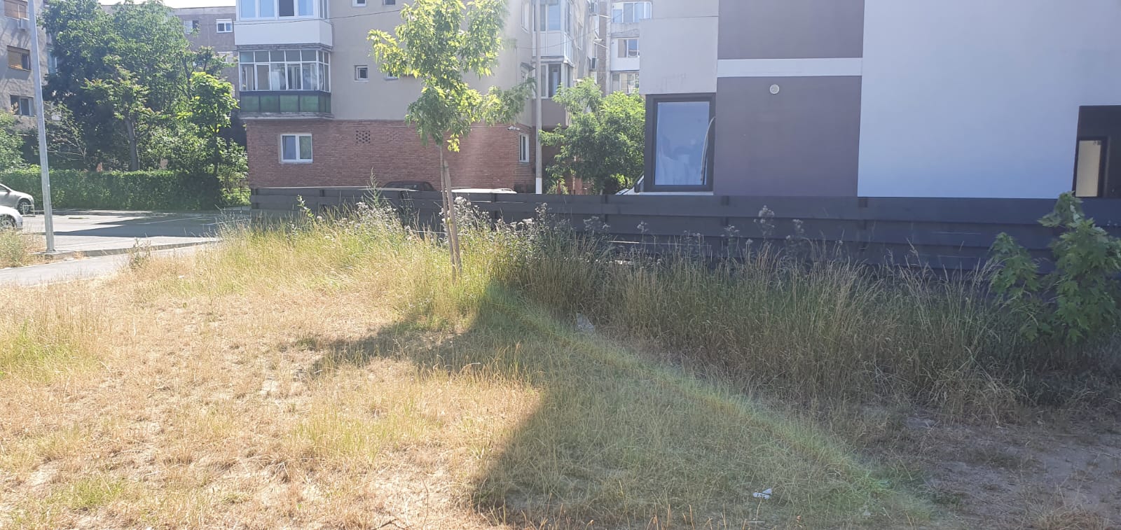 WhatsApp Image 2022-06-22 at 12.25.21 PM (3)