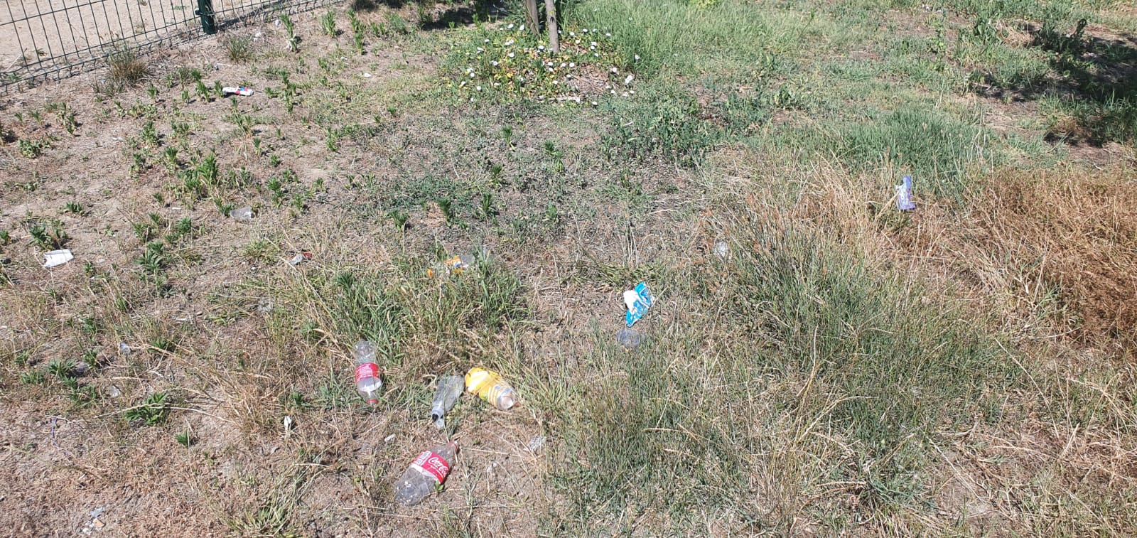 WhatsApp Image 2022-06-22 at 12.25.21 PM