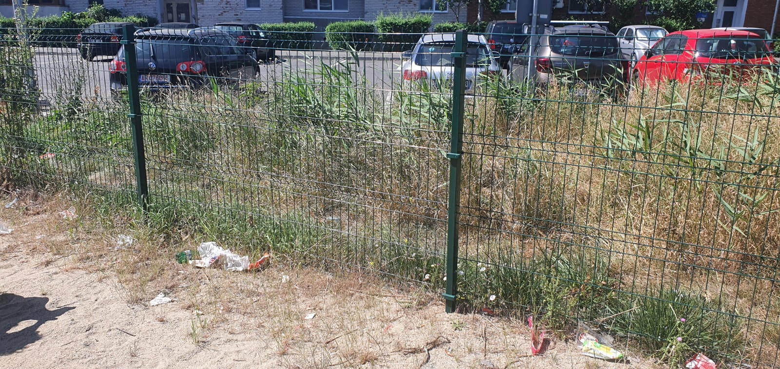 WhatsApp Image 2022-06-22 at 12.25.22 PM (5)