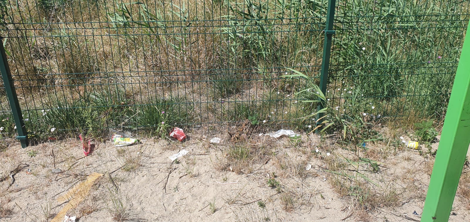 WhatsApp Image 2022-06-22 at 12.25.22 PM (6)