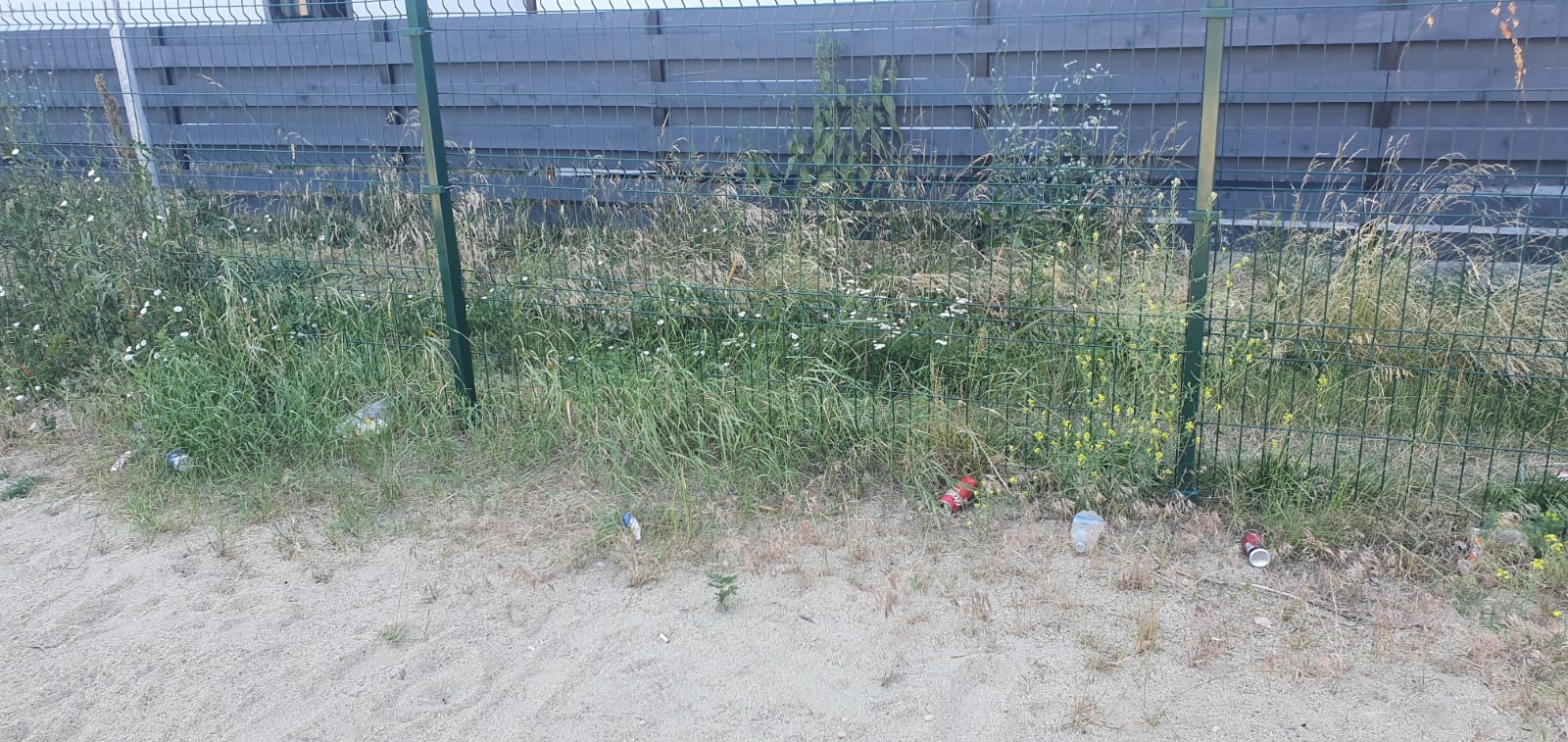 WhatsApp Image 2022-06-22 at 12.25.22 PM