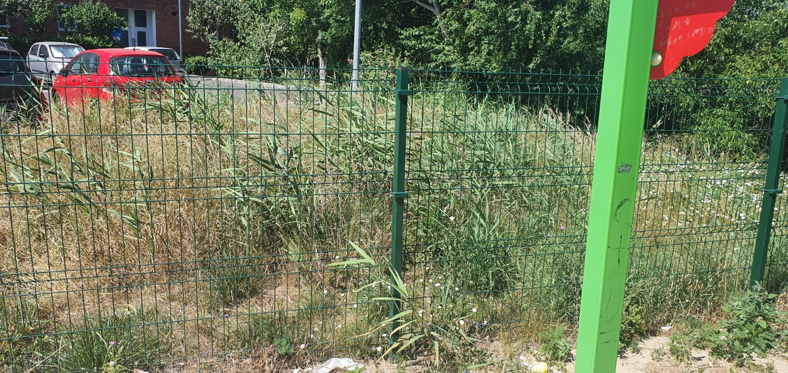 WhatsApp Image 2022-06-22 at 12.25.23 PM