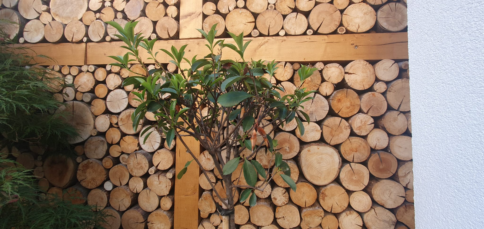 WhatsApp Image 2022-06-24 at 9.29.57 AM