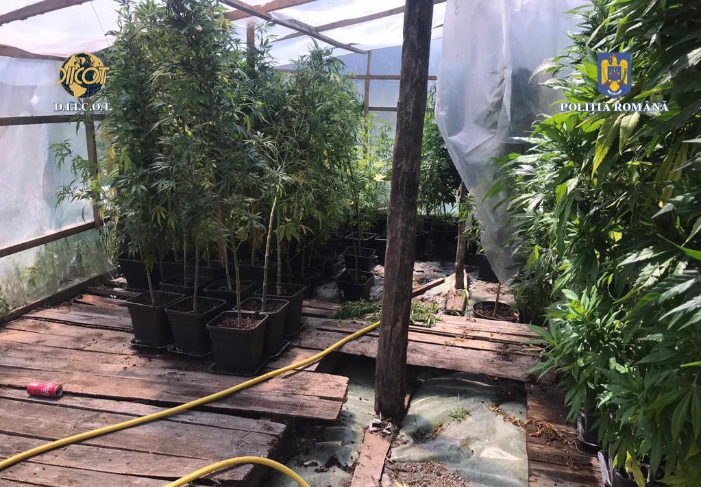 WhatsApp Image 2022-06-24 at 6.09.12 PM