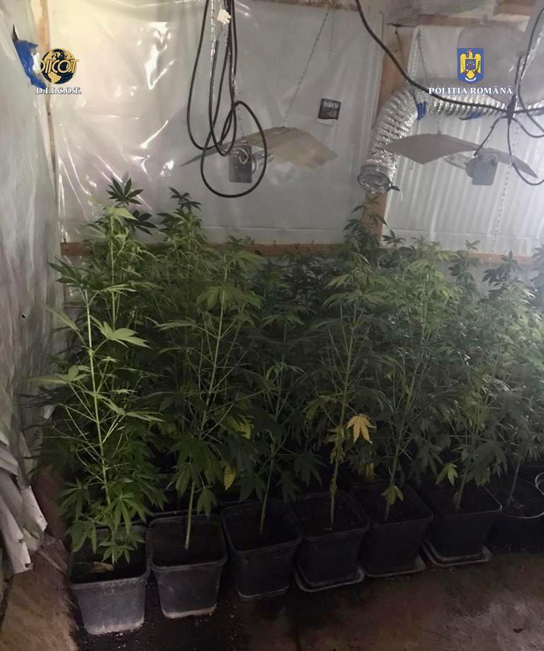 WhatsApp Image 2022-06-24 at 6.09.11 PM (2)