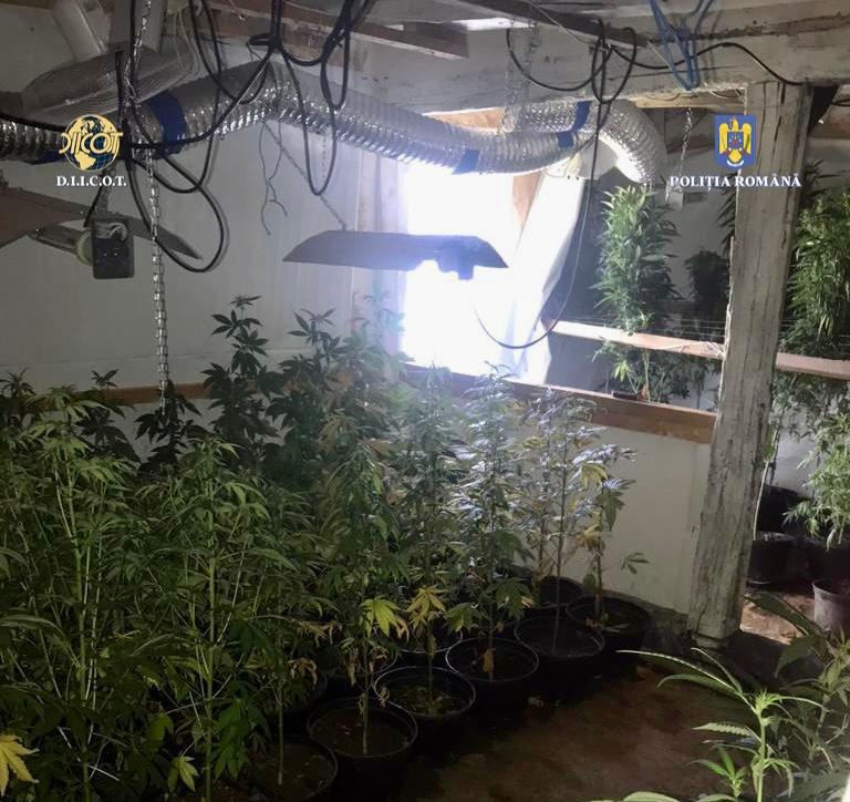 WhatsApp Image 2022-06-24 at 6.09.11 PM (1)