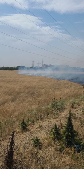 291391855_812899992957516_8096902728552230940_n