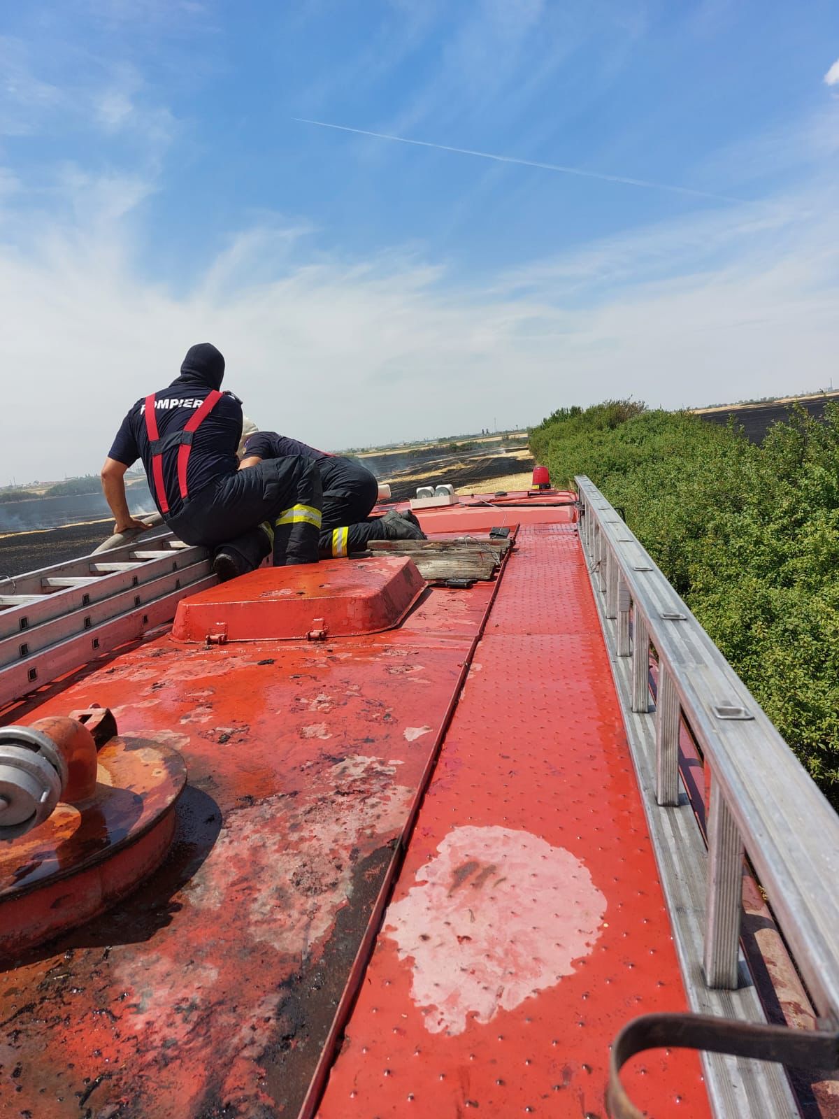 WhatsApp Image 2022-07-08 at 9.39.17 PM (1)