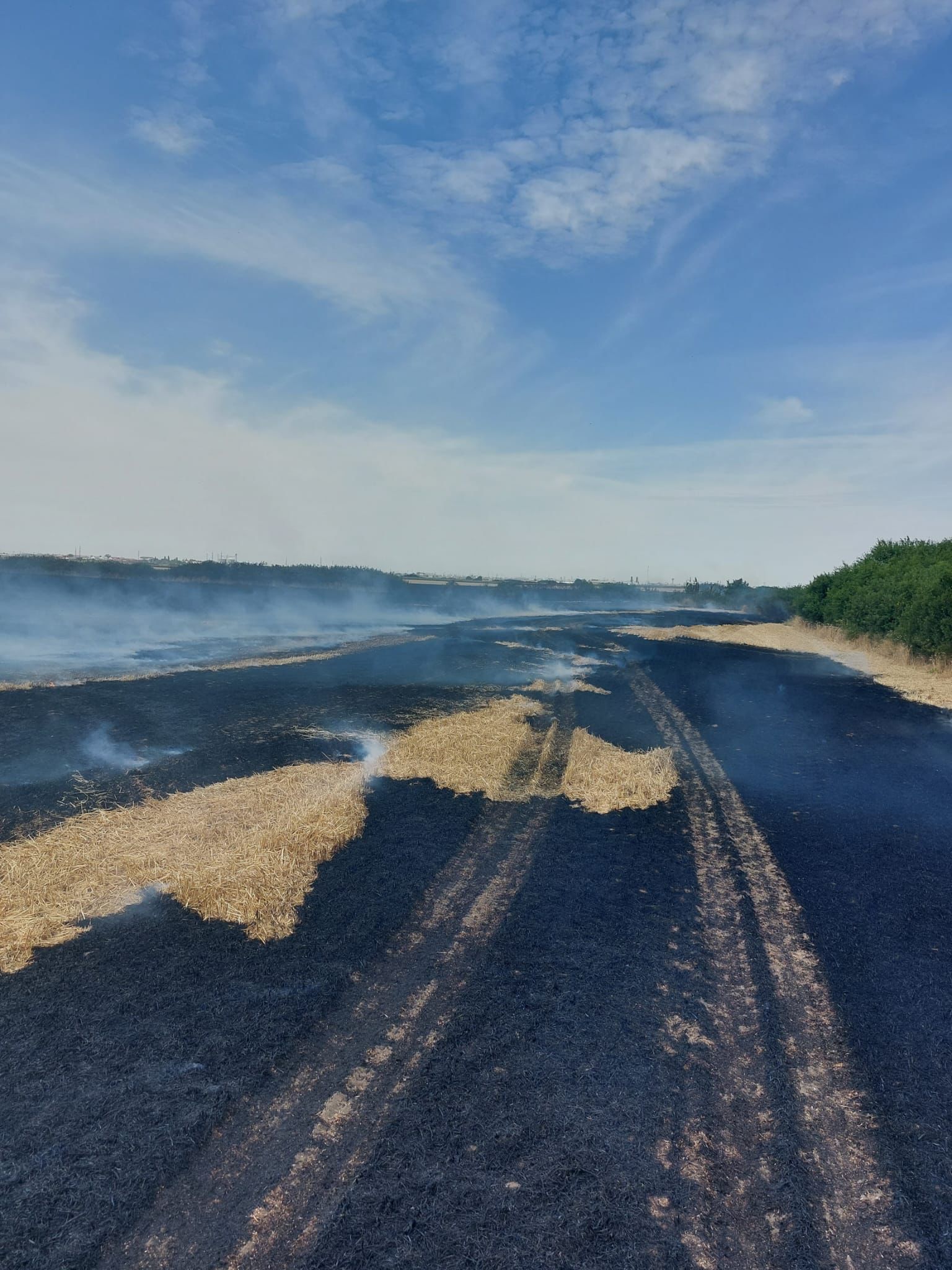 WhatsApp Image 2022-07-08 at 9.39.17 PM (2)