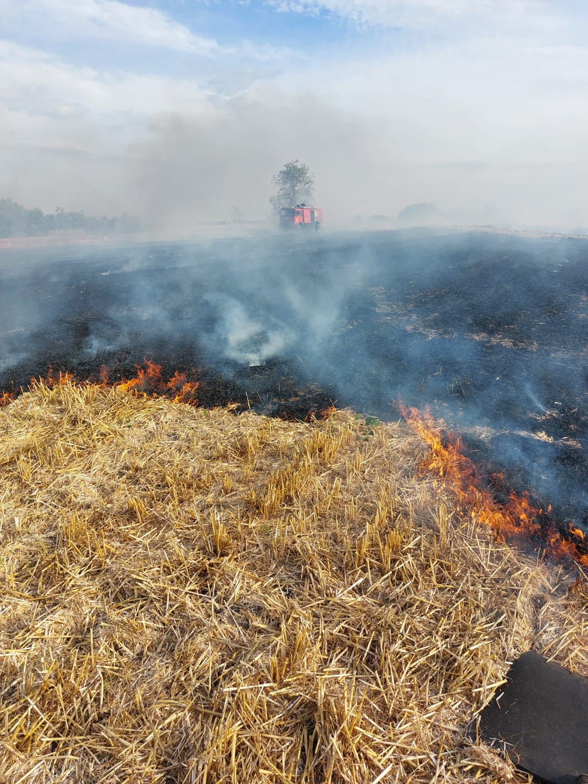 FOTO | Incendiu de miriște la Horia