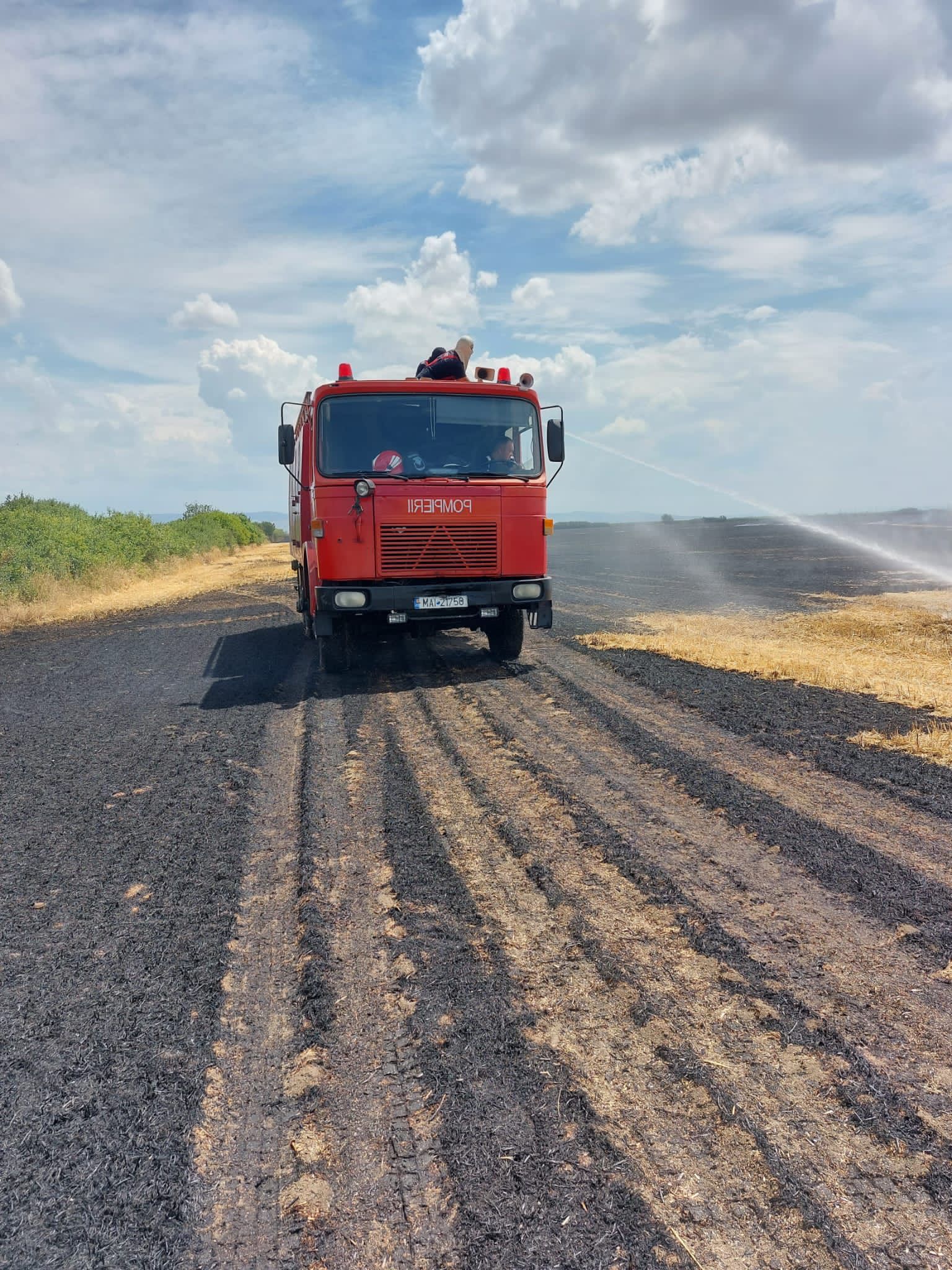 WhatsApp Image 2022-07-21 at 11.02.40