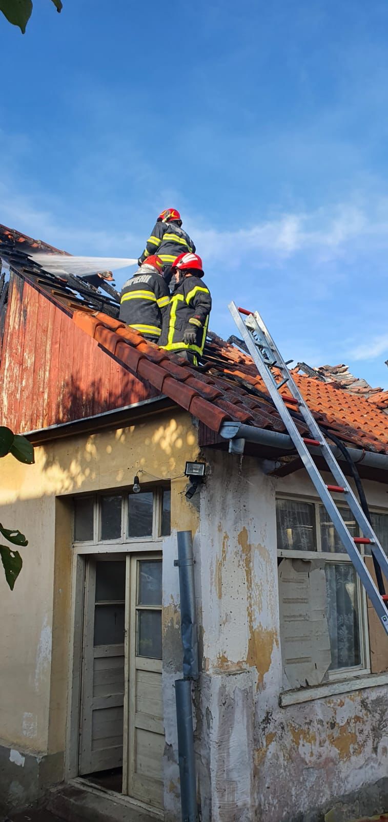 WhatsApp Image 2022-07-21 at 11.02.37