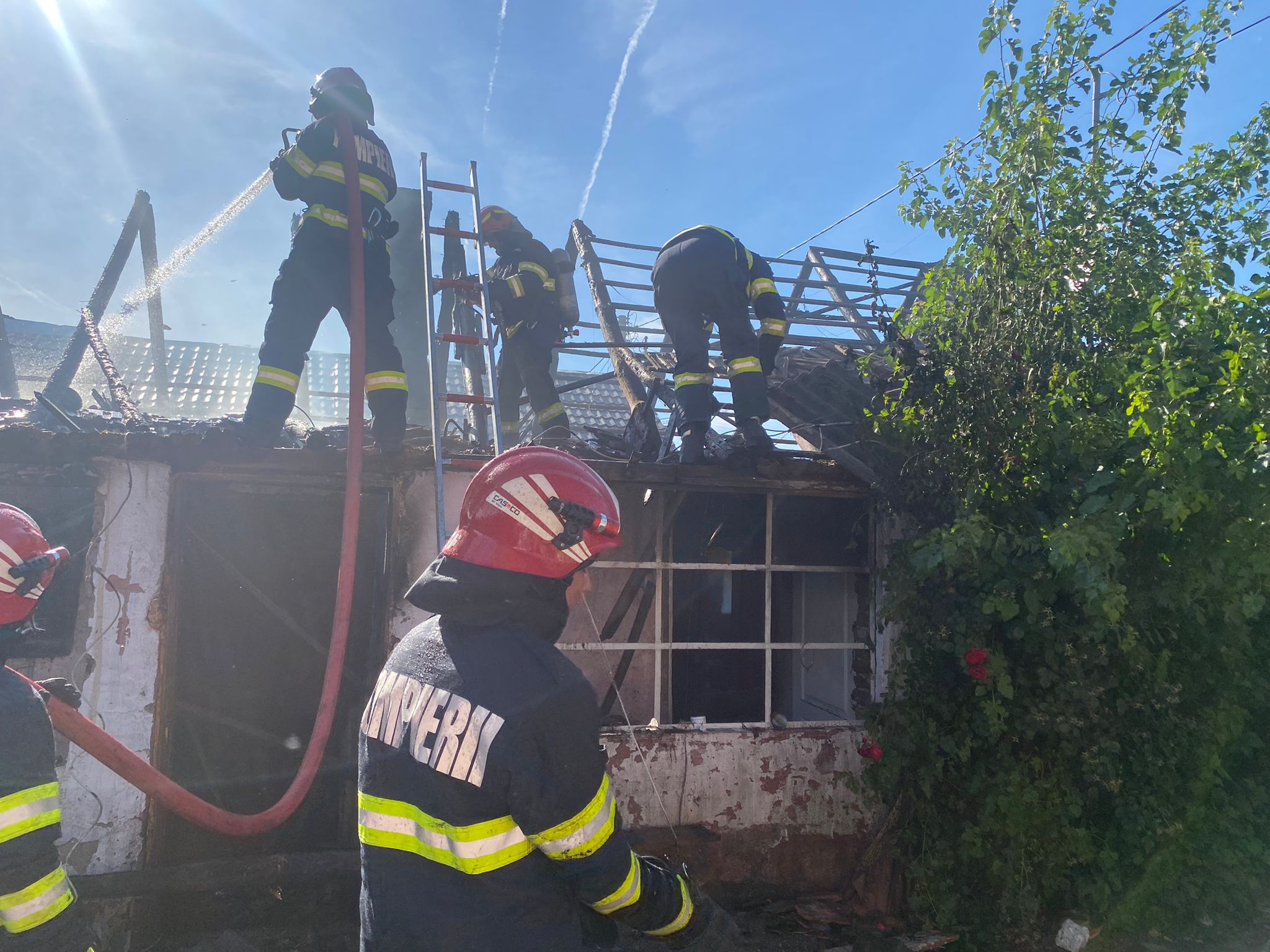 WhatsApp Image 2022-07-21 at 11.02.38